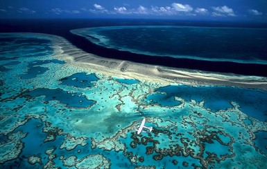 Большой барьерный риф оценили в 42 миллиарда долларов