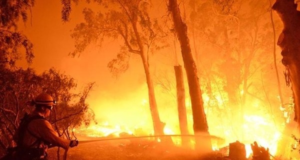 В шести областях Украины объявлена чрезвычайная пожарная опасность