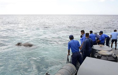 У берегов Шри-Ланки посреди моря выловили огромного слона