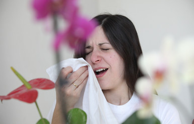 Десять вопросов об аллергии