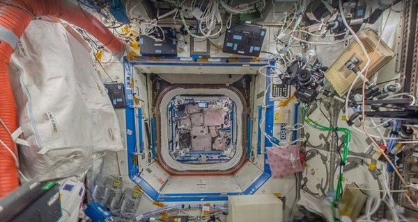Вот это да: по Международной космической станции можно прогуляться онлайн