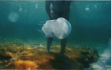 Часть побережья Крыма заполонили медузы