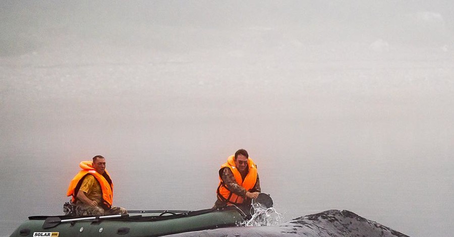 В Хабаровском крае спасают 13-метрового кита, заплывшего на мель