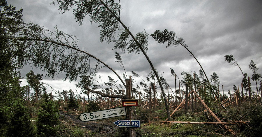 Мощный ураган в Польше уничтожил лес