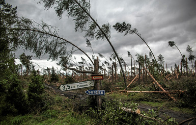 Мощный ураган в Польше уничтожил лес