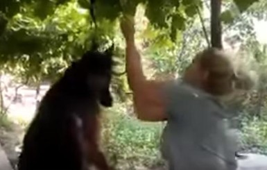 Женщина, повесившая на видео овчарку, подрабатывает в приюте для бездомных животных