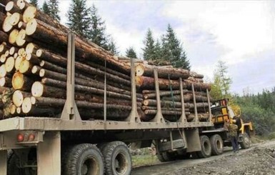 В Закарпатской области лесовоз рухнул с горной дороги, двое погибших 