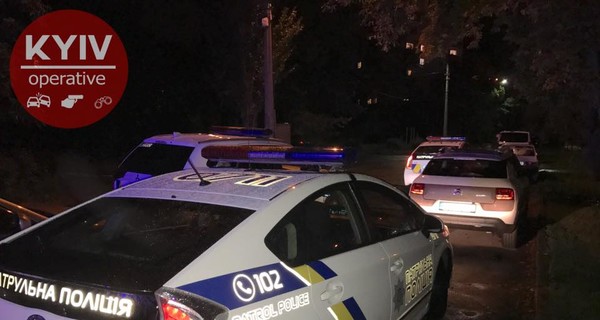 В Киеве трое неизвестных напали на мужчину с собакой, произошла стрельба