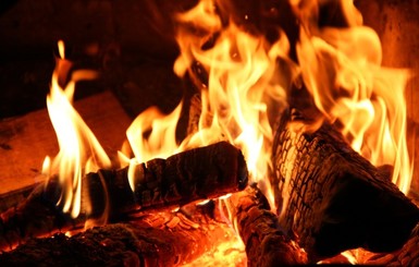В Запорожье женщина сгорела, пытаясь подлить бензин в костер