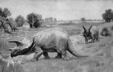 В США нашли останки динозавра возрастом 66 миллионов лет
