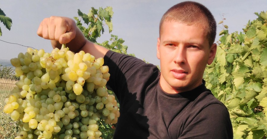 Житель Николаева вырастил рекордную гроздь винограда