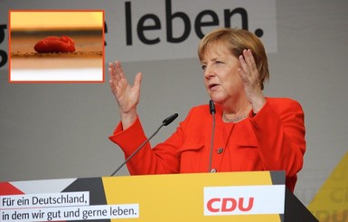 Ангелу Меркель закидали помидорами на встрече с избирателями