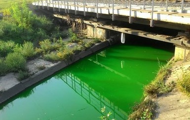 В Киеве позеленела река Лыбедь 