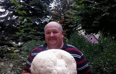 В Черновцах нашли гигантский гриб