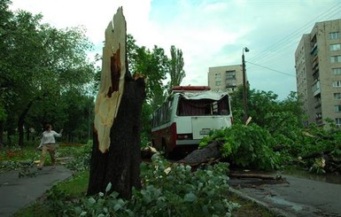 Киевлян предупредили о сильном ветре и попросили убрать вещи с балконов