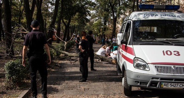 Видео: в центре Днепра упавшая ветка убила студентку 