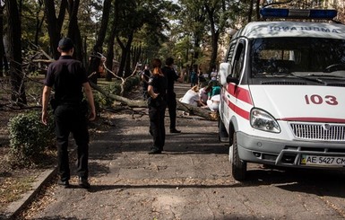 Видео: в центре Днепра упавшая ветка убила студентку 