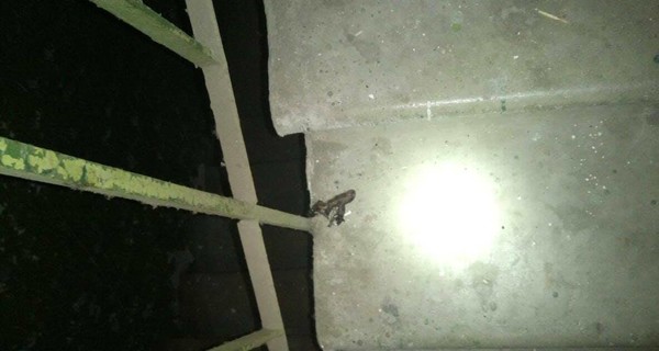 В  Харькове в результате взрыва гранаты погиб 23-летний парень