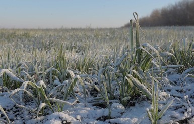 Украинцев предупредили о первых заморозках