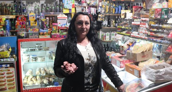 Два енота разгромили магазин на Буковине