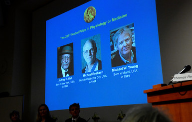 Нобелевскую премию по медицине-2017 присудили трем американцам за исследование биологических часов