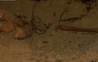 В Ровенской области под алтарем костела нашли древнее захоронение