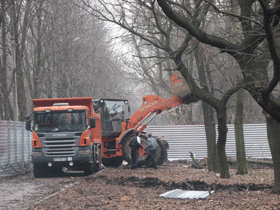В Донецке уничтожили сквер с редкими деревьями 