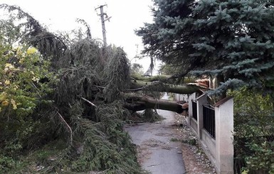 Четыре области Украины накроет шторм
