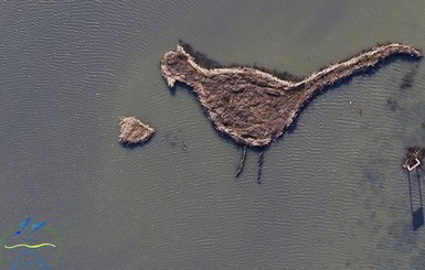 В Одесской области появился остров-птица