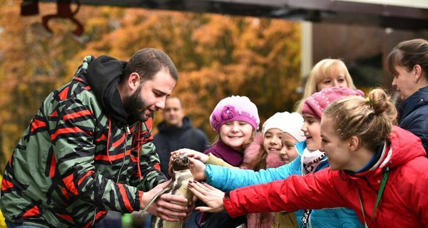 В Харькове одинокому пингвину придется дружить с фламинго