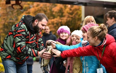В Харькове одинокому пингвину придется дружить с фламинго