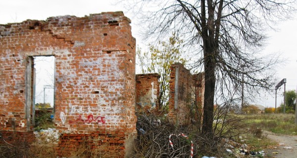 В Малине умерла 17-летняя девушка, избитая соседями из-за 500 гривен