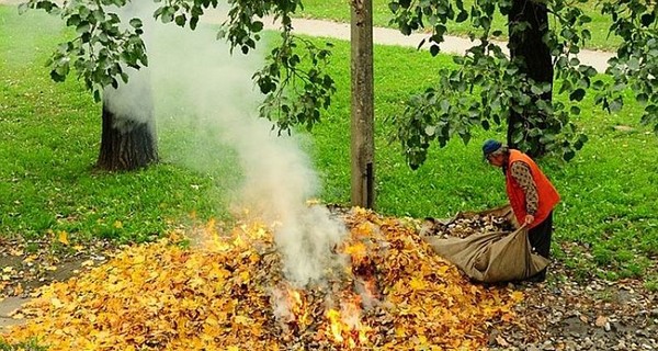 Церковь назвала сжигание опавших листьев 