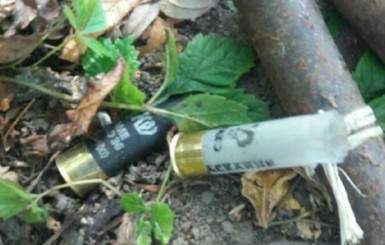 В Волынской области охотник случайно застрелил товарища