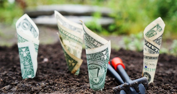 Прокуроры ГПУ нашли 105 тысяч долларов в клумбе, проводя обыски по коррупционному делу