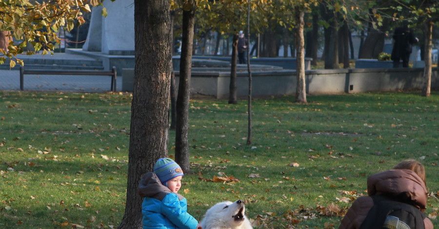 Осень приготовила украинцам прощальный подарок: теплые, но дождливые выходные