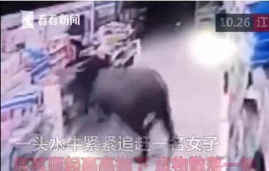 В Китае разъяренный буйвол устроил погром в супермаркете и ранил посетителей