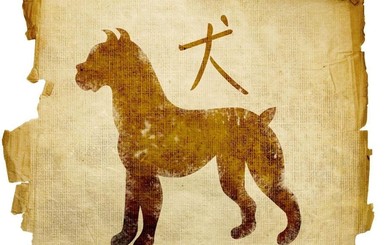 Восточный гороскоп 2018: Что приготовила Желтая Земляная Собака