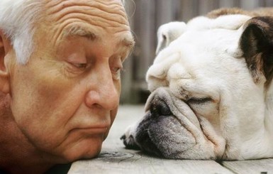 Ученые: владельцы собак реже болеют сердечно-сосудистыми заболеваниями
