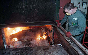 Сжигание в крематории транслируют в Интернете 