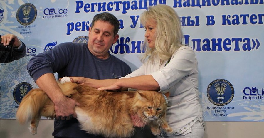 В Украине установили рекорд по… величине кота