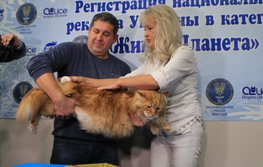В Украине установили рекорд по… величине кота