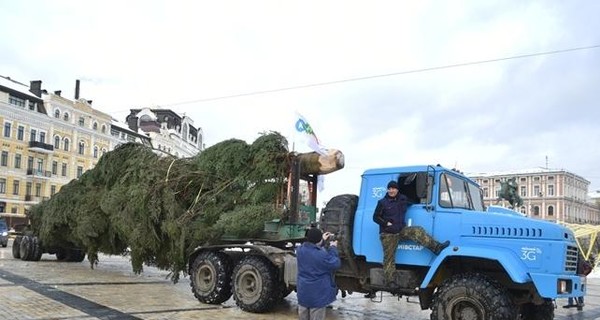 Главная елка Украины не приехала в Киев из-за снегопада