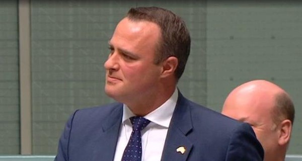 Австралийский политик сделал предложение руки и сердца своему коллеге прямо в парламенте