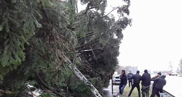 Главная елка страны попала в ДТП: под Киевом в нее врезались две фуры