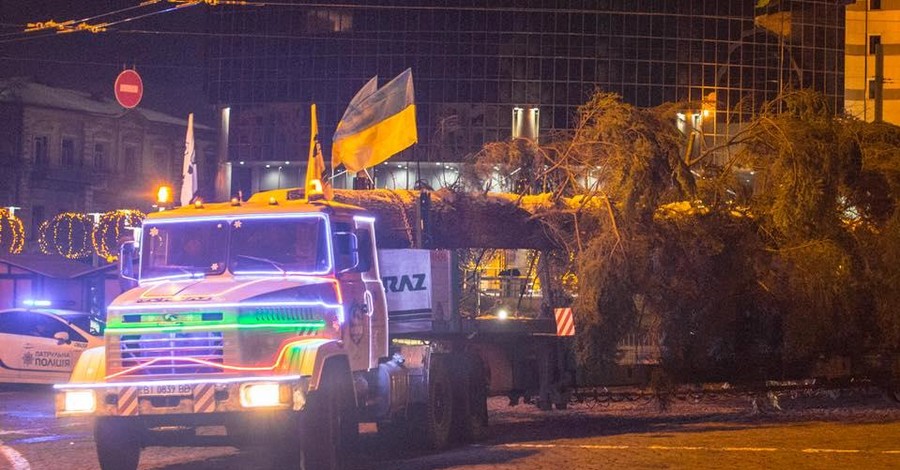 В Киев привезли главную елку страны