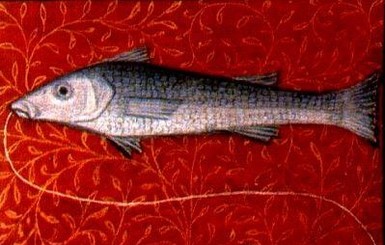 Подробный гороскоп на 2018 год для Рыб