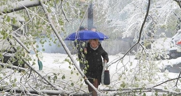 На Киев обрушится снегопад