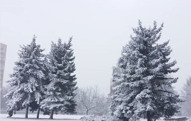 Лучшие фотографии снегопада в Киеве из Instagram