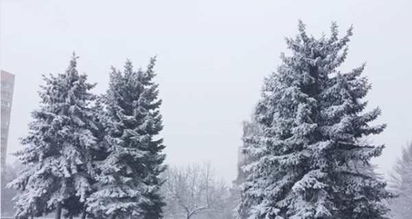 Сегодня днем, 21 декабря, в Украине местами пройдет небольшой снег